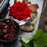 HYDRATING ELIXIR I
